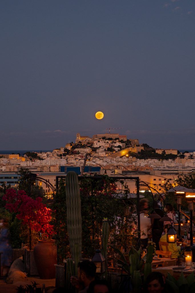 Fotografía | All You Need is Van