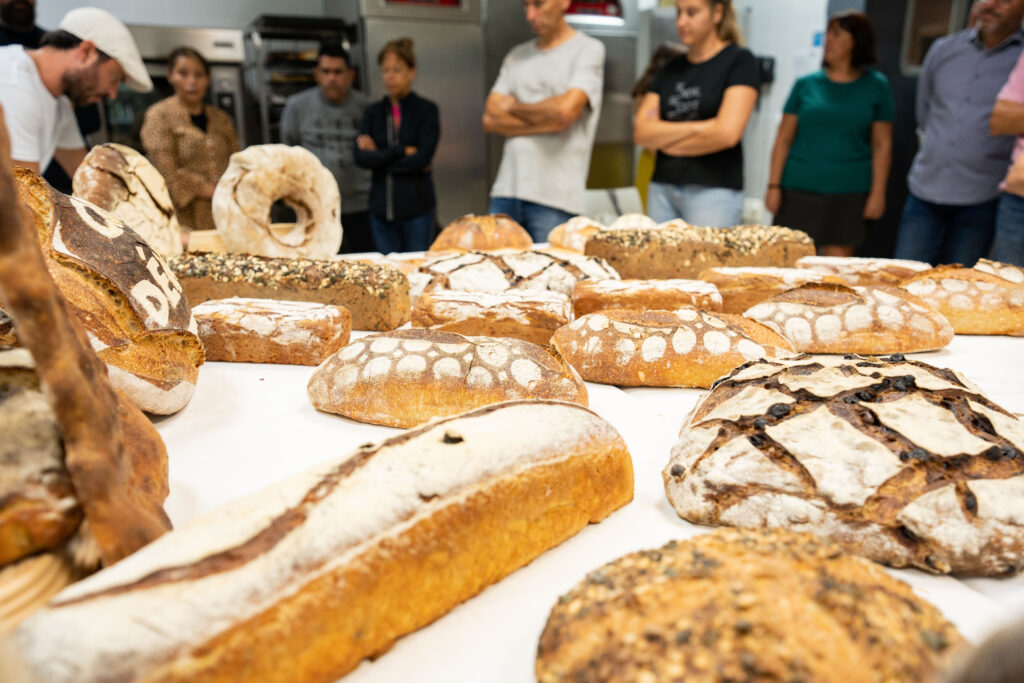 Fotografía | Panadería | Rubén Buj